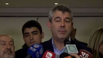 17122352 DECLARACIONES DIPUTADO JOUANNET 01 (1)