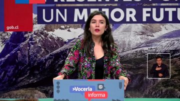 18122306 VOCERÍA DE LA MINISTRA CAMILA VALLEJO 01