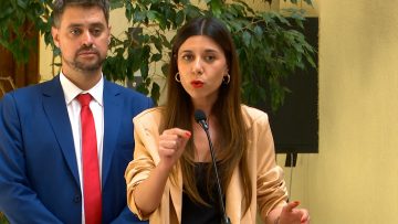 181223C01 DECLARACIONES DIPUTADOS MANOUCHERI Y CICARDINI 04 (1)