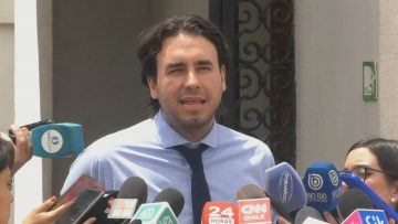 26122311 DECLARACIONES DIPUTADO VLADO MIROSEVIC 03