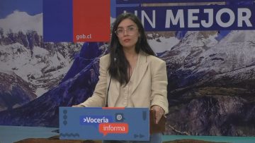 02012410 VOCERÍA DE LA MINISTRA CAMILA VALLEJO 01