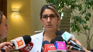 030124C03 DIPUTADA OLIVERA POR ANTECEDENTES DE PANAMERICANOS (01) (2)