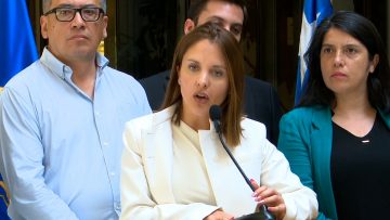 030124C05 DECLARACIONES OFICIALISMO (2) (1)