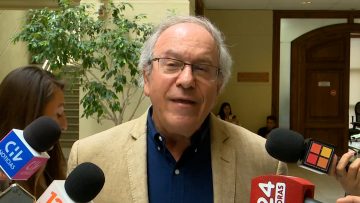 040124C02 DECLARACIONES DIPUTADO TOMÁS HIRSCH 01 (1)