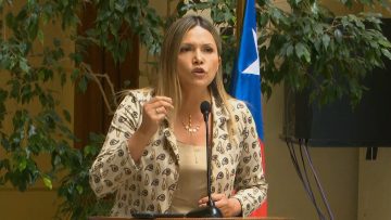 040124C05 DECLARACIONES PARLAMENTARIOS DE OPOSICIÓN (04) (2)