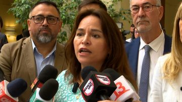 100124C01 DIPUTADA PÉREZ SOBRE SITUACIÓN DE SEGURIDAD Y COSENA 03 (1)