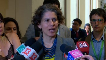 100124C06 DECLARACIONES MINISTRA DE MEDIO AMBIENTE EN EL CONGRESO (01)