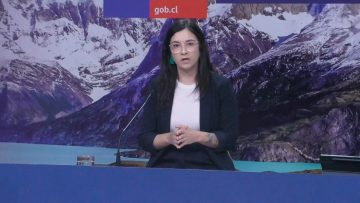 11012410 GOBIERNO INFORMA SISTEMA INTELIGENTE DE PERMISOS Y EVALUACIÓN AMBIENTAL 01