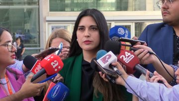 16012414 DECLARACIONES ABOGADA MARÍA FERNANDA BÜHLER 01 (1)