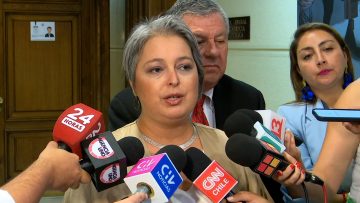 170124C08 MINISTRA JARA SOBRE AVANCE DE LEY DE OFERTA LABORAL 3