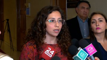 190124C04 DECLARACIONES DIPUTADOS POR PROYECTO DE REFORMA PREVISIONAL 02