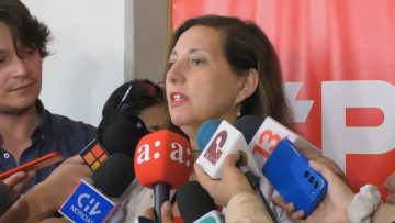 27012402 DECLARACIONES PAULINA VODANOVIC COMITÉ CENTRAL PS 8