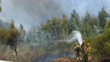 02022413 APOYOS Y DECLARACIONES POR INCENDIO FORESTAL EN QUINTA REGION 04