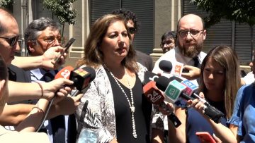 08022424 DECLARACIONES PAULINA VODANOVIC 03