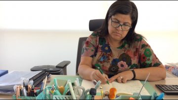 09022428 CUÑA FISCAL BIOBIO 03