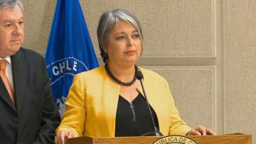 130324C09 DECLARACIONES MINISTRA JARA EN EL CONGRESO 05
