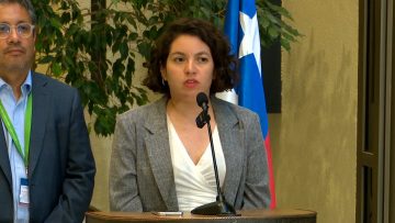 130324C11 DECLARACIONES DE LA MINISTRA JAVIERA TORO 18