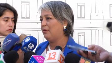 14032408 DECLARACIONES MINISTRA JEANNETTE JARA EN LA MONEDA 05 (1)