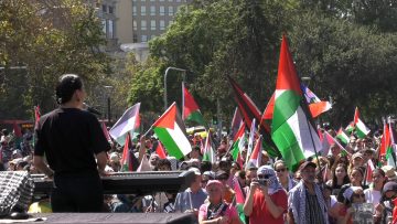 17032408 MARCHA POR PALESTINA Y DECLARACIONES 01