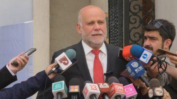 18032414 DECLARACIONES MINISTRO ELIZALDE EN LA MONEDA (2)