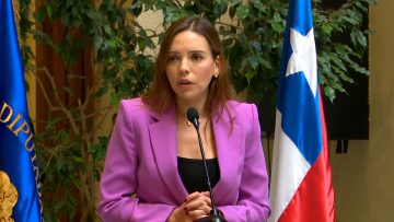 190324C04 DECLARACIONES DIPUTADA CAMILA FLORES EN EL CONGRESO 01