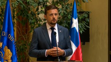 190324C06 DECLARACIONES DIPUTADO STEPHAN SCHUBERT EN EL CONGRESO 04