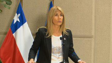 20324C10 DECLARACIONES XIMENA RINCÓN 01