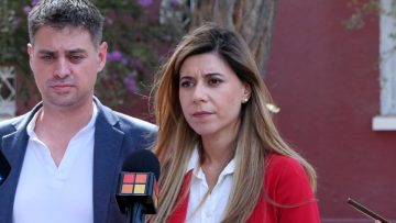 31032408 DECLARACIONES DIPUTADA PS DANIELLA CICARDINI 01