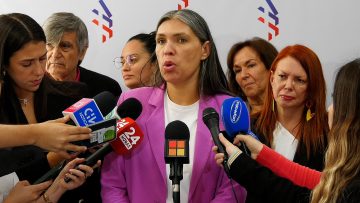 01042412 DECLARACIONES PARTIDOS OFICIALISTAS POR MUNICIPALIDADES 03
