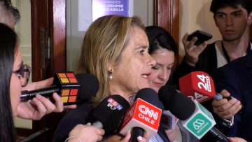 010424C07 DECLARACIONES DIPUTADA FLOR WEISSE 01
