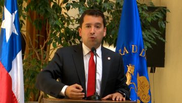 010424C09 DECLARACIONES DIPUTADO CRISTIAN ARAYA 06