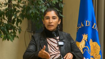 030424C05 DECLARACIONES DIPUTADA YOVANA AHUMADA 05