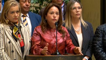 090424C07 PARLAMENTARIOS POR SITUACIÓN DE SIDERÚRGICA 02