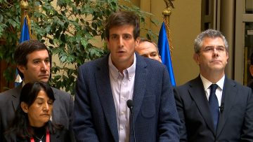 100424C10 DECLARACIONES POR INDICACIÓN A LA LEY RUF 01