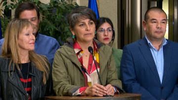100424C16 MINISTRA DE SALUD Y SUPERINTENDENTE POR LEY CORTA DE ISAPRES 03