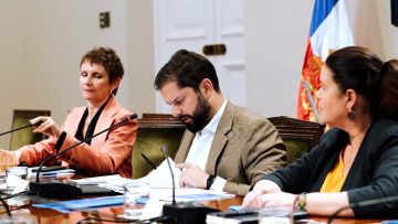 11042407 APOYO GABINETE PRO SEGURIDAD