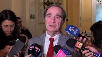15042425 DECLARACIONES HERNÁN LARRAÍN 01