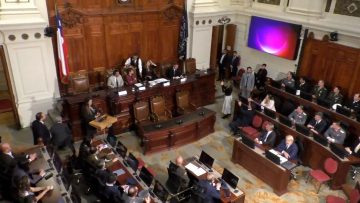 19042407 SEMINARIO SEGURIDAD Y GLOBALIZACIÓN DEL CRIMEN ORGANIZADO EN SUDAMÉRICA Y COORDINACIÓN ENTRE GOBIERNOS 012