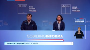 19042413 GOBIERNO INFORMA CANASTA BÁSICA 01 (1)