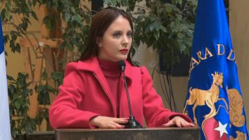 230424C01 DECLARACIONES DIPUTADA CAMILA MUSANTE