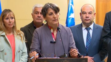 240424C03 VOCERÍA MINISTRA DE SALUD POR LEY CORTA DE ISAPRES 16
