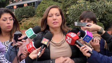 28042411 DECLARACIONES SENADORA PAULINA VODANOVIC 01