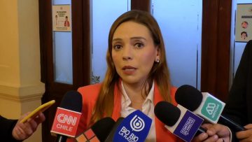 29042423 DECLARACIONES CAMILA FLORES 01 (1)