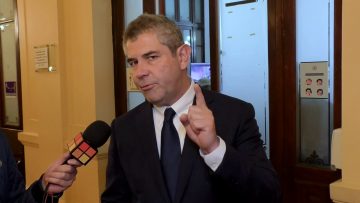 29042425 DECLARACIONES DIPUTADO JOUANNET01