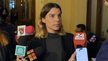 29042426 DECLARACIONES DIPUTADA MAITE ORSINI 02