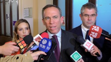 29042428 DECLARACIONES DIPUTADOS ALESSANDRI, JOUANNET Y FLORES 01
