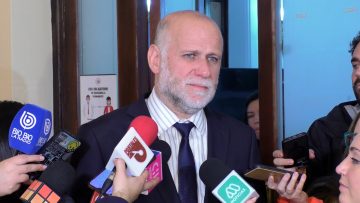 29042429 DECLARACIONES MINISTRO ELIZALDE