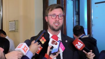 29042430 DECLARACIONES DIPUTADOS POR EL APLACE DE LA AUDIENCIA DEL DIRECTOR GENERAL YAÑEZ