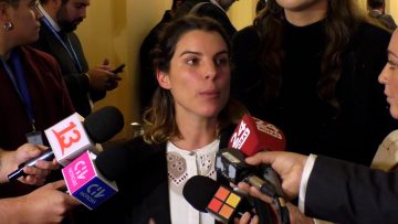 300424C08 DECLARACIONES DIPUTADA MAITE ORSINI