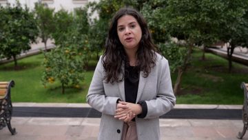 02052413 -MINISTRA ORELLANA SOBRE COBRELOA 02